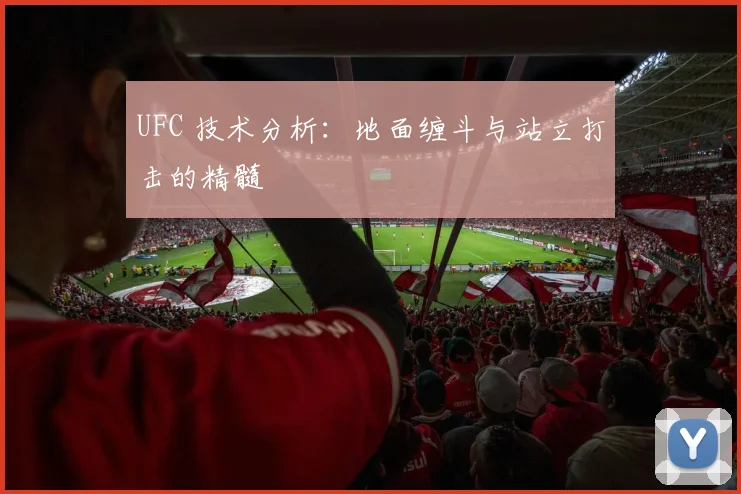 UFC 技术分析:地面缠斗与站立打击的精髓